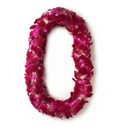 Double Dendrobium Orchid Hawaiian Lei for Graduation