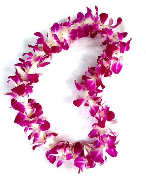Single Dendrobium Orchid Hawaiian Lei for Graduation